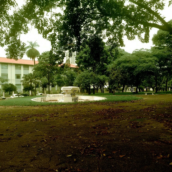 Americana SP