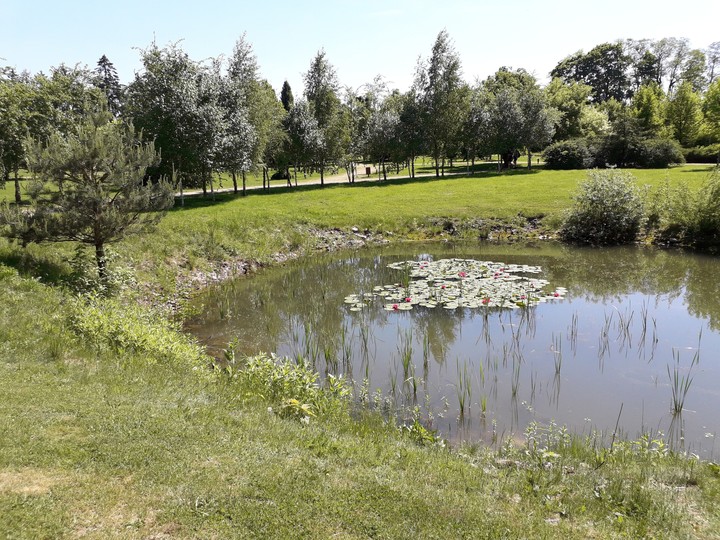 Pond