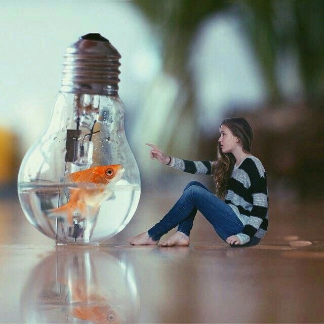 bulb