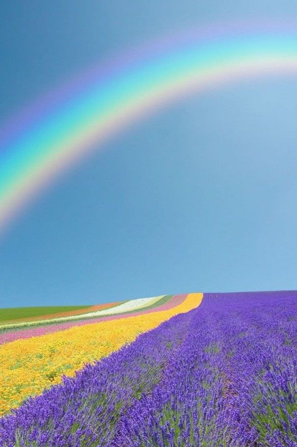 """""Rainbow ?Most Likely ?Eary World My Friend