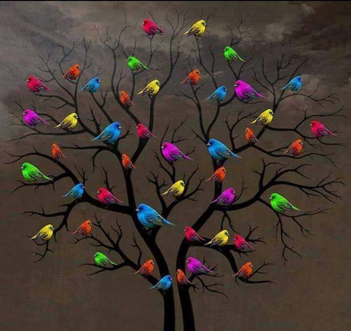 Birds