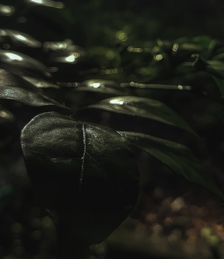 darkness