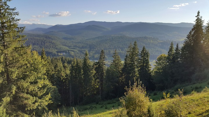forest, mountains