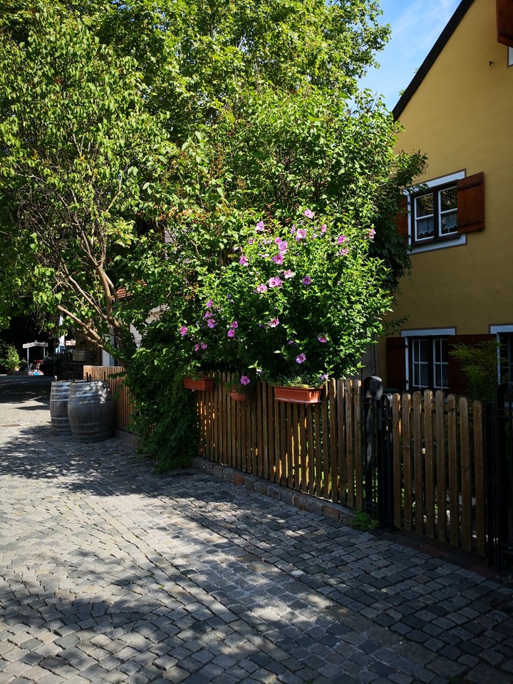 House in Munich