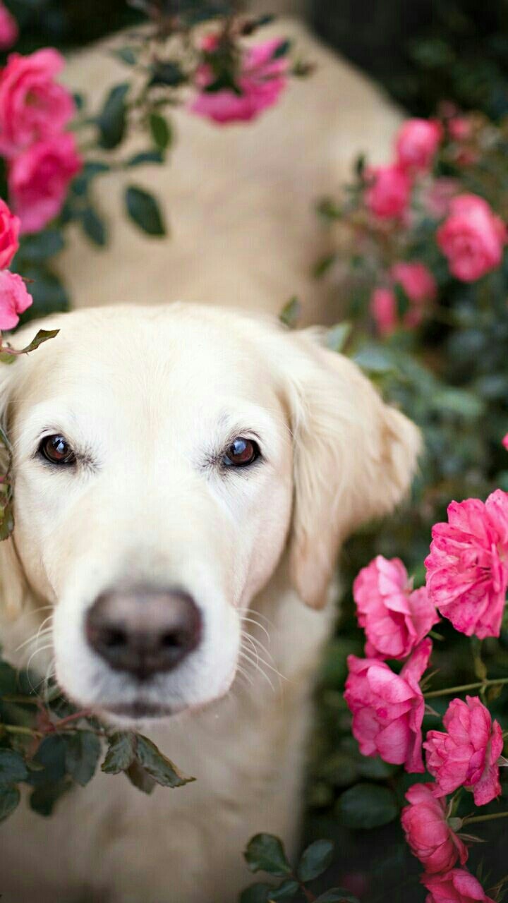 cute