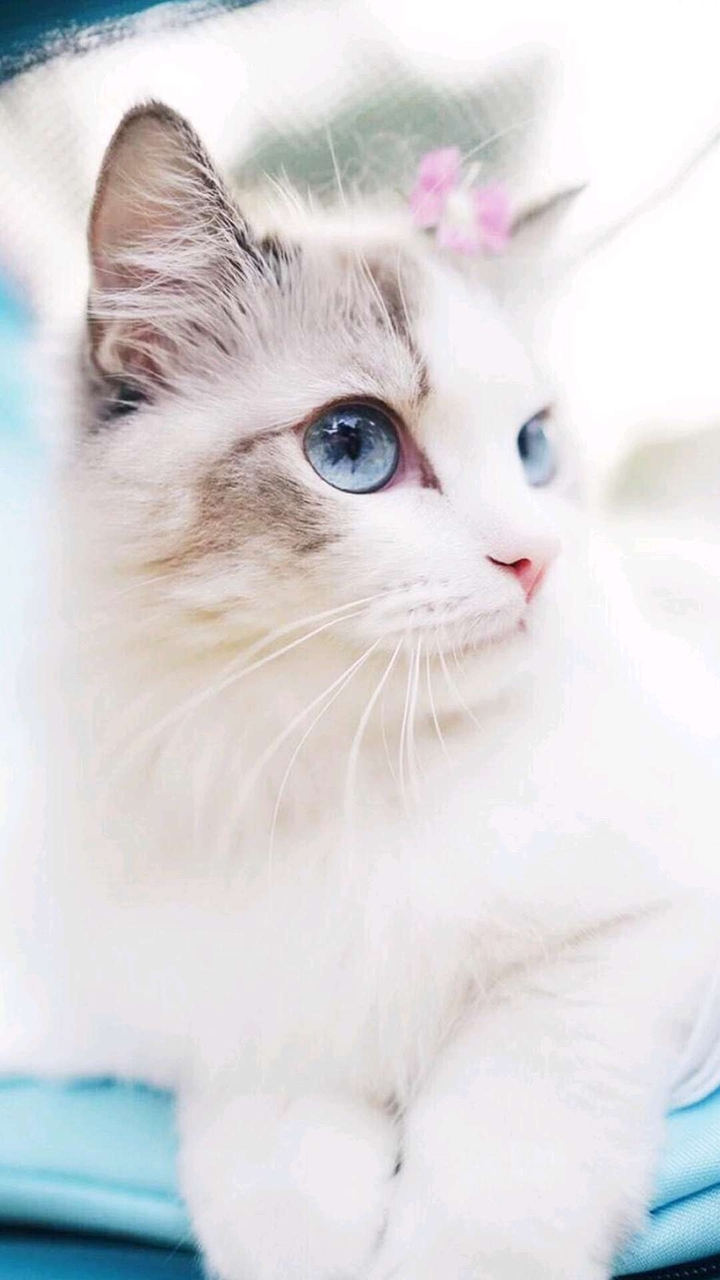 ❤❤❤❤❤❤❤❤❤❤❤