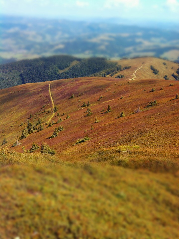 Carpathians,again