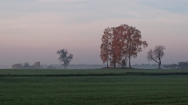 autumn