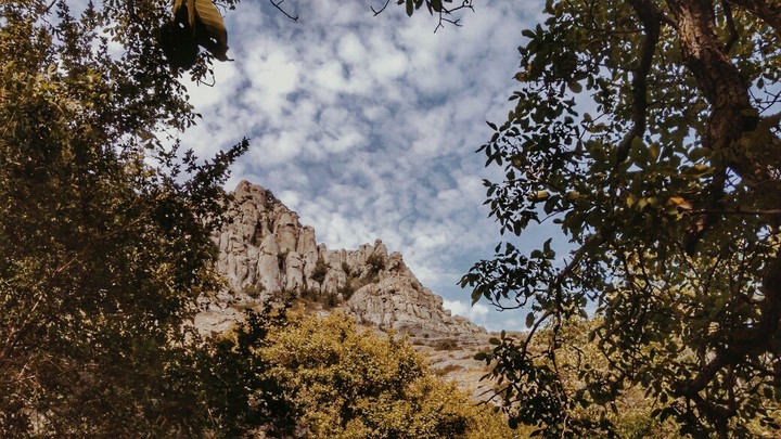 crimea