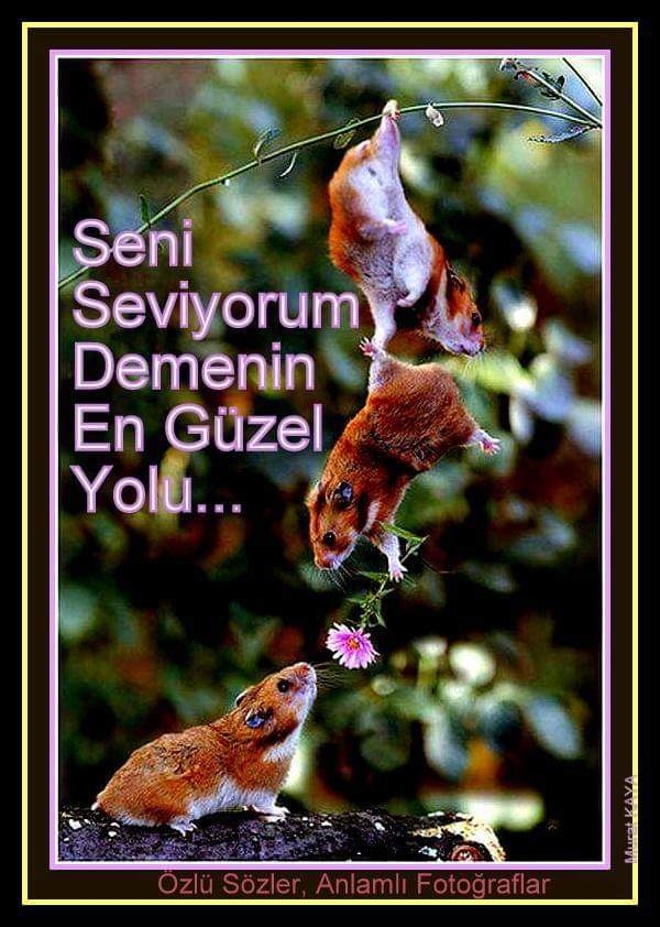 söz