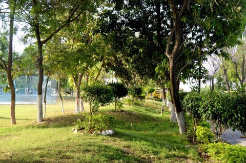 environmental