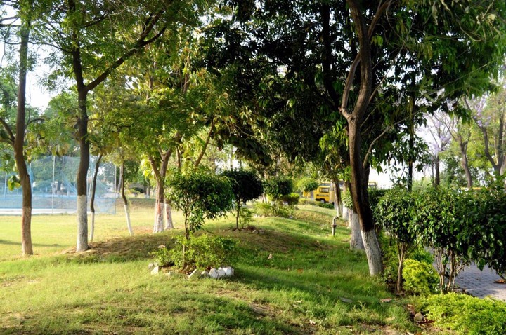 environmental