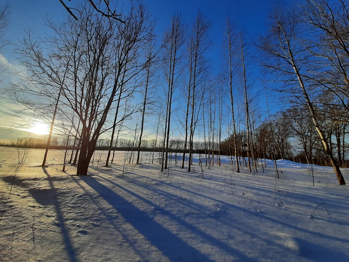 Winter