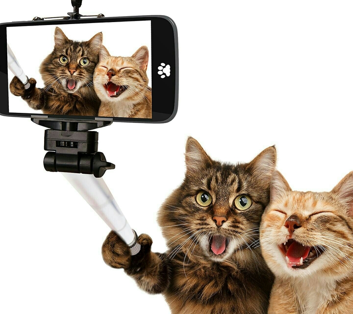 Selfies with a friend :))