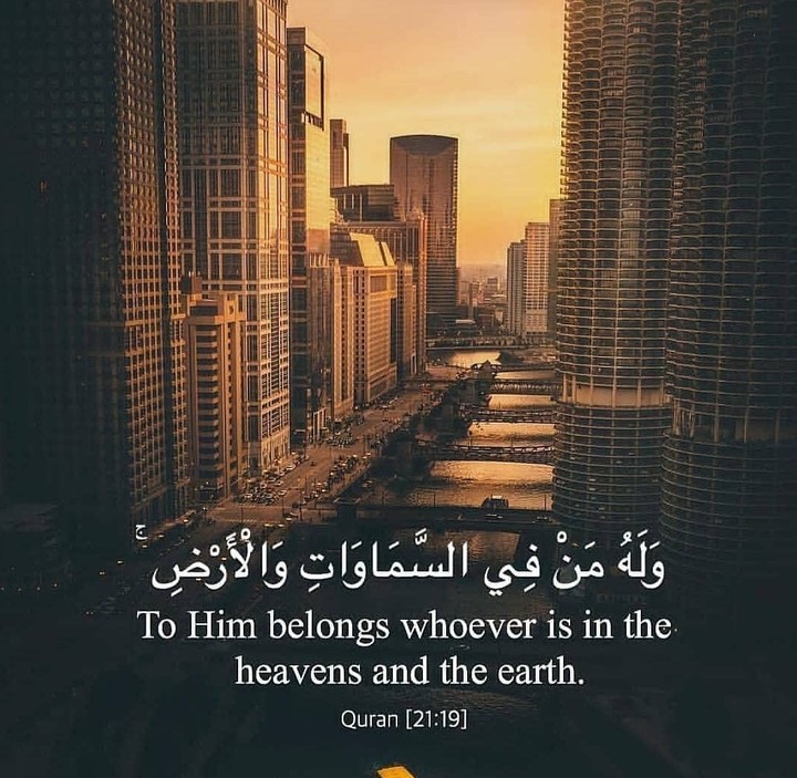 حكم
