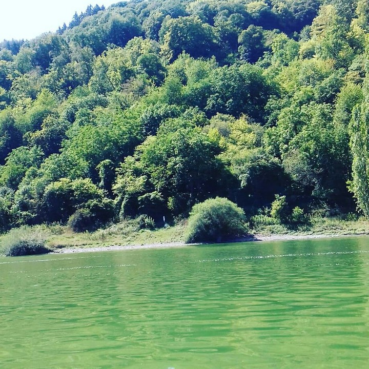 mosel