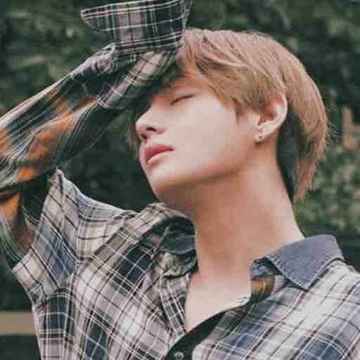 태형