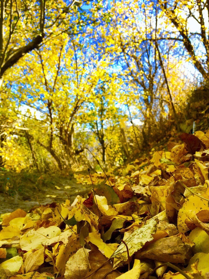 Осень