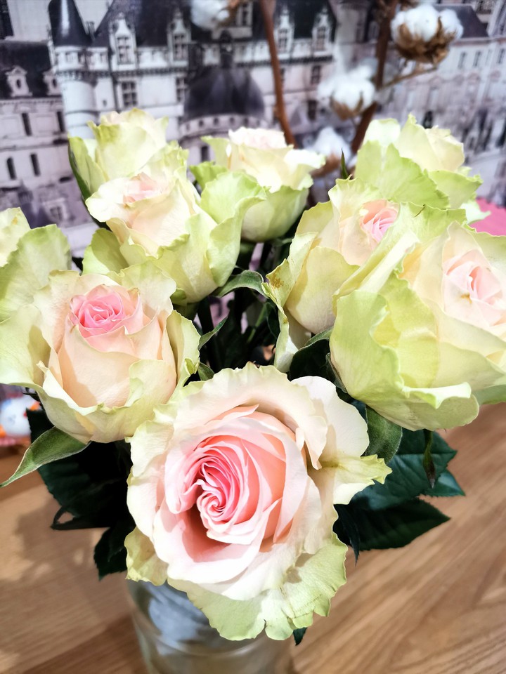 roses