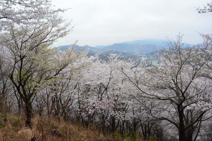 풍경이미지