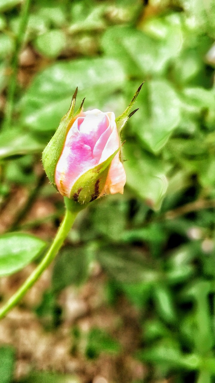 ❤️ ❤️