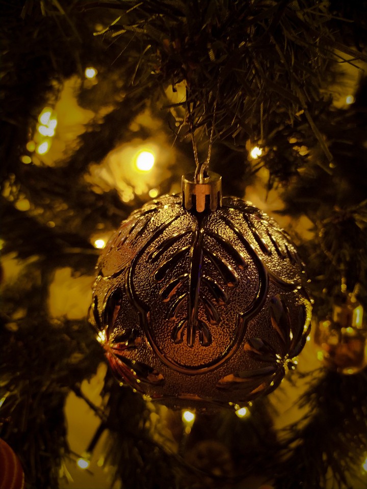 Spirit of the season