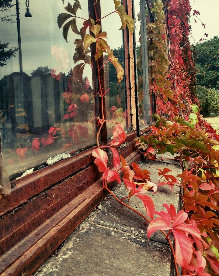 fall