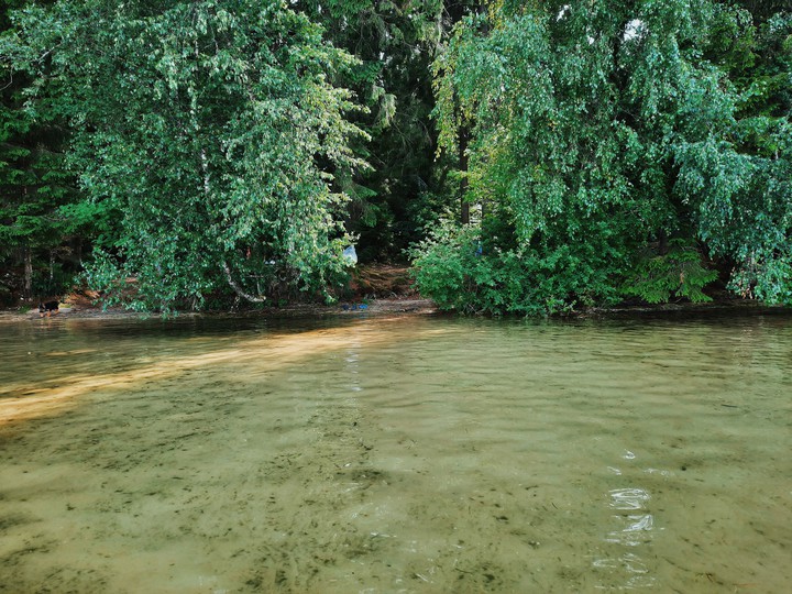 clean green