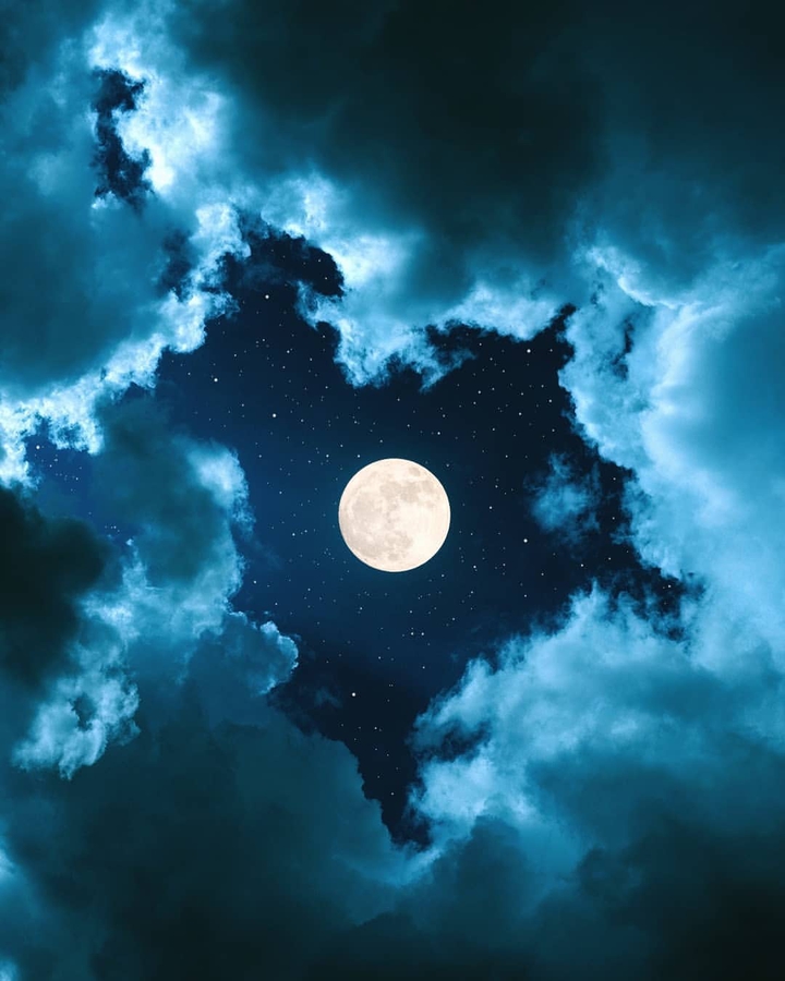 moonlight
