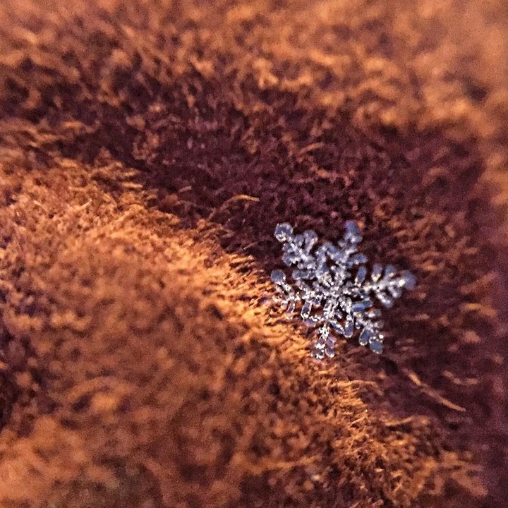 micro kamera ile çekilmiş gerçek bir kar tanesi
