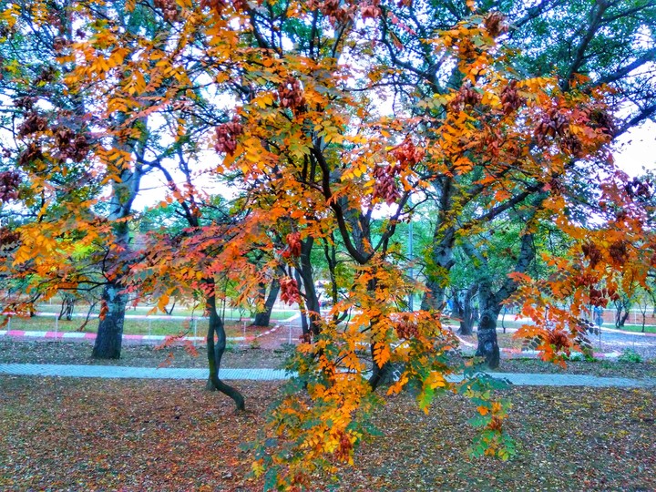 #autumn