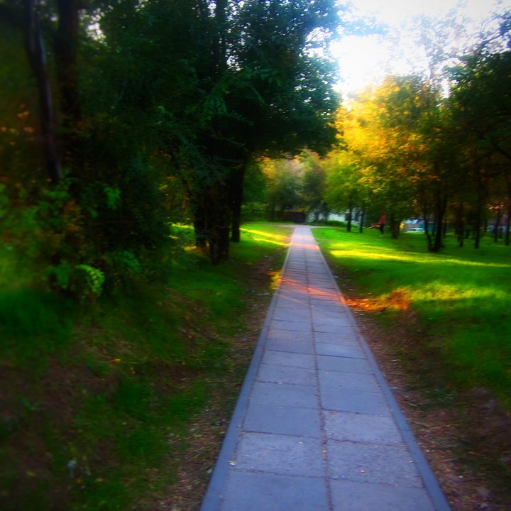 Тропа