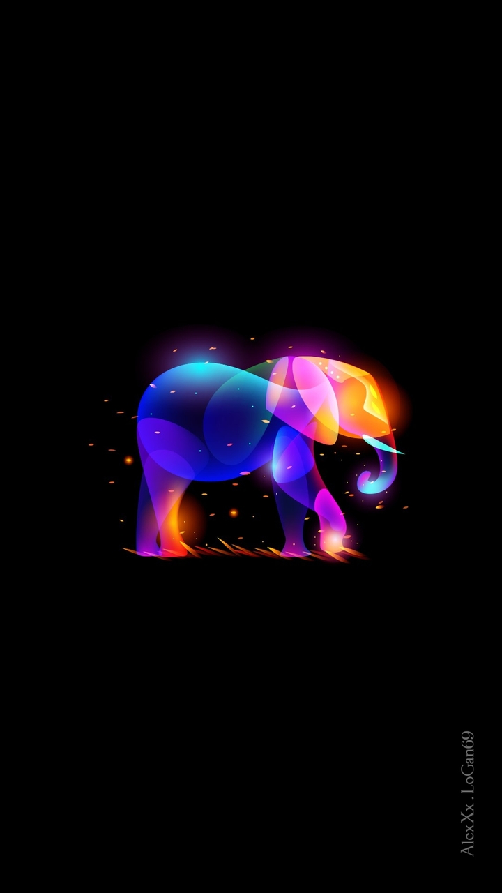 animal
