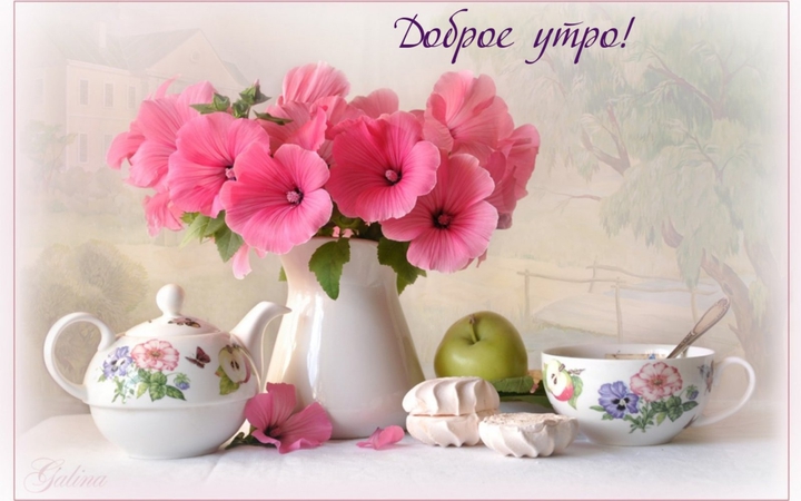 приятное утро!