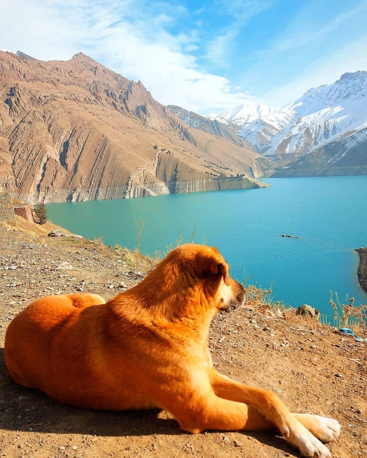Karaj Dam