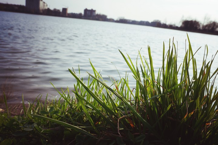 love life
