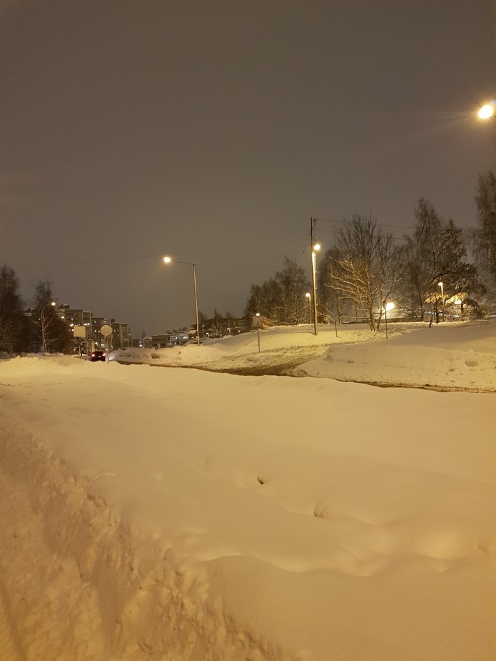 #snow#nature#white beauty