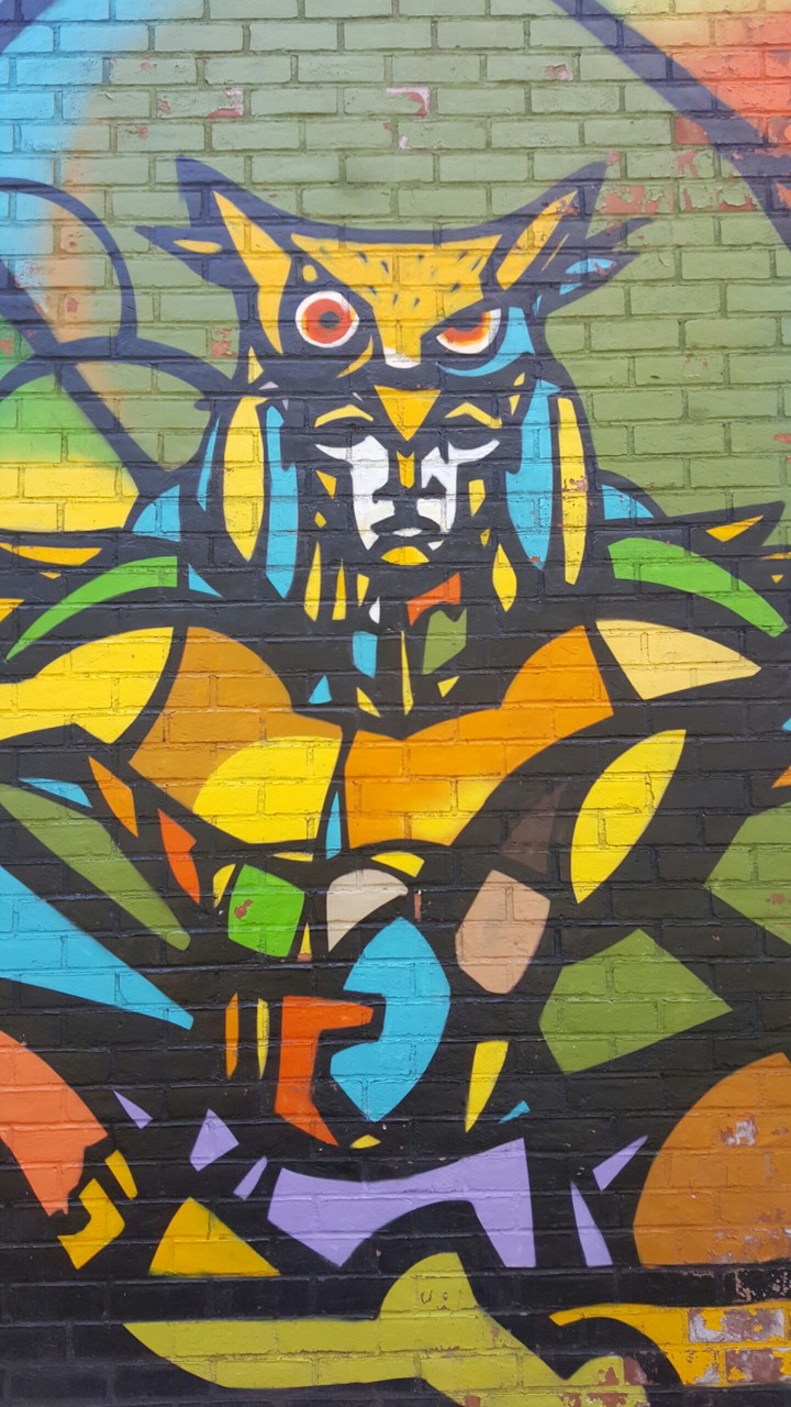 The Owl Man