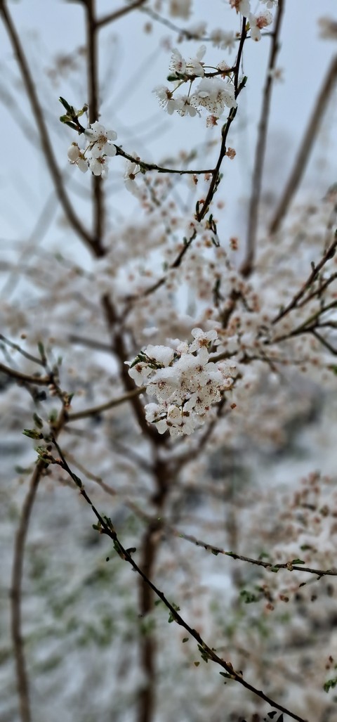 sky, freezing wallpapers