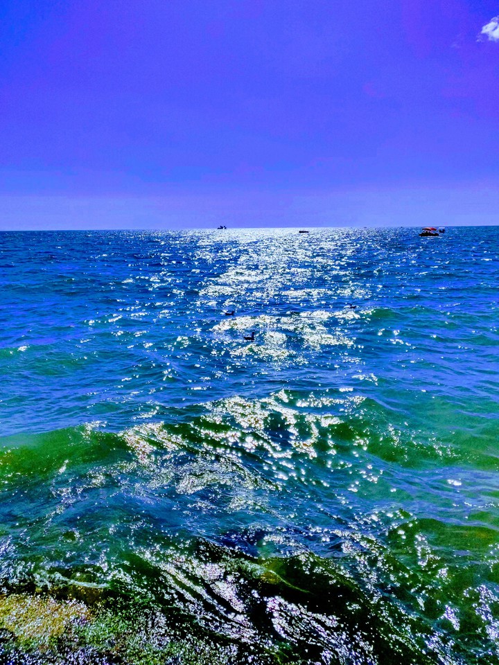black sea 2019