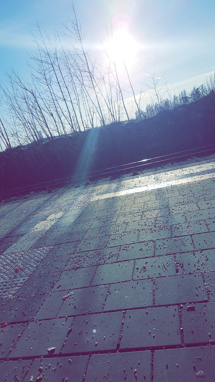Sunshine
