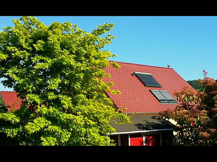 Home
