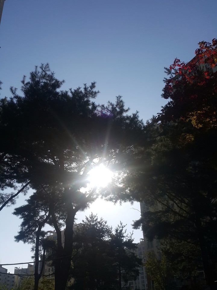 sun
