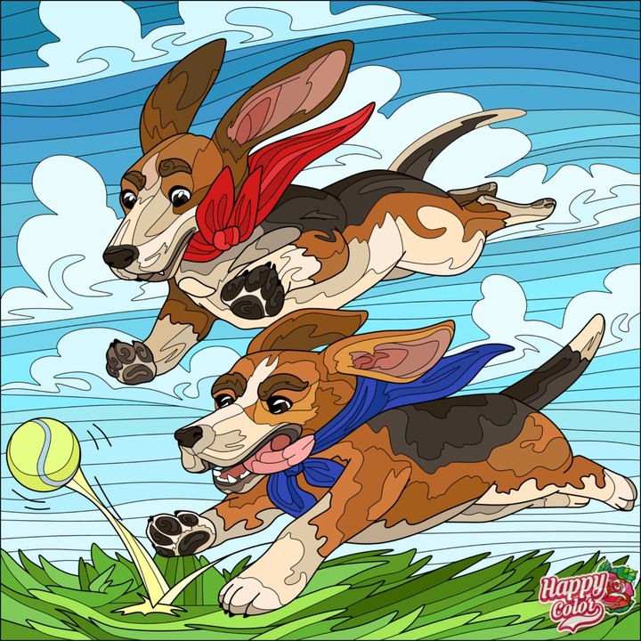 Cachorros