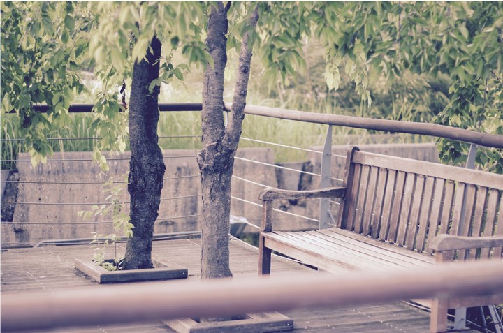 a park bench