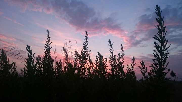 Sunset.