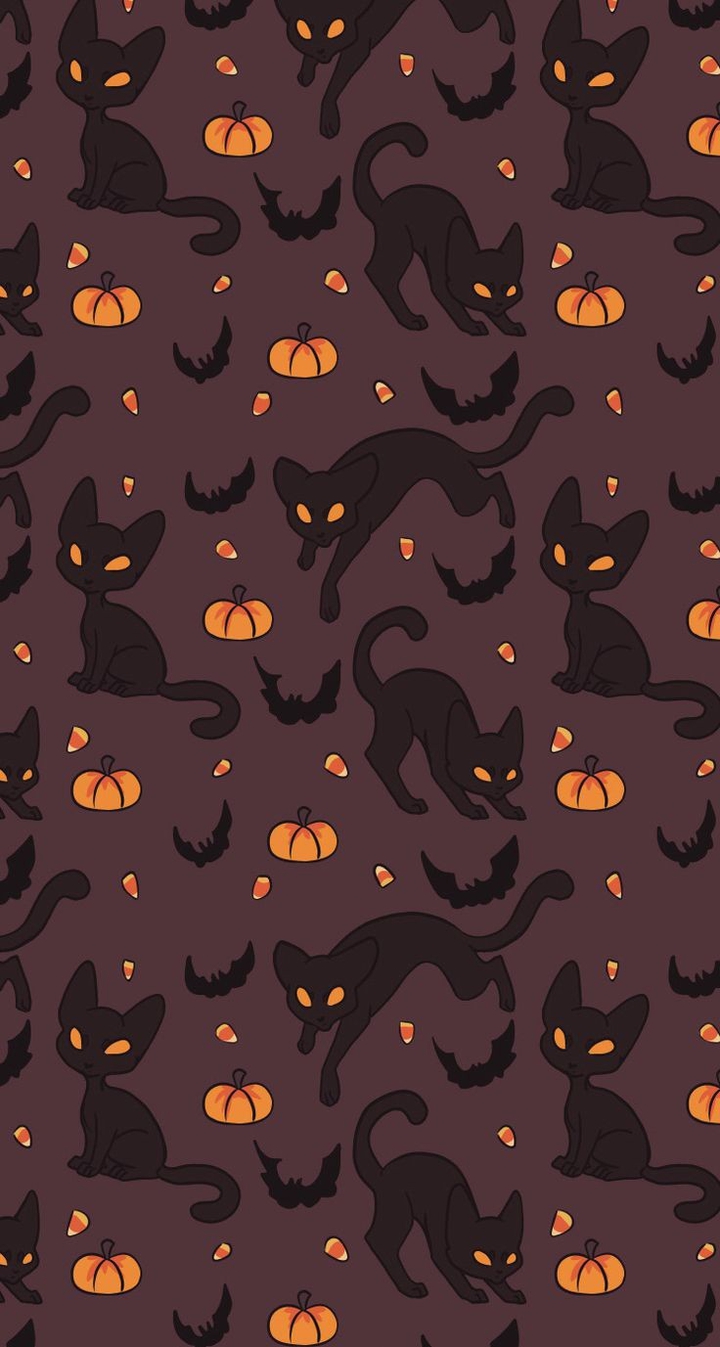 Black cat Pumpkin