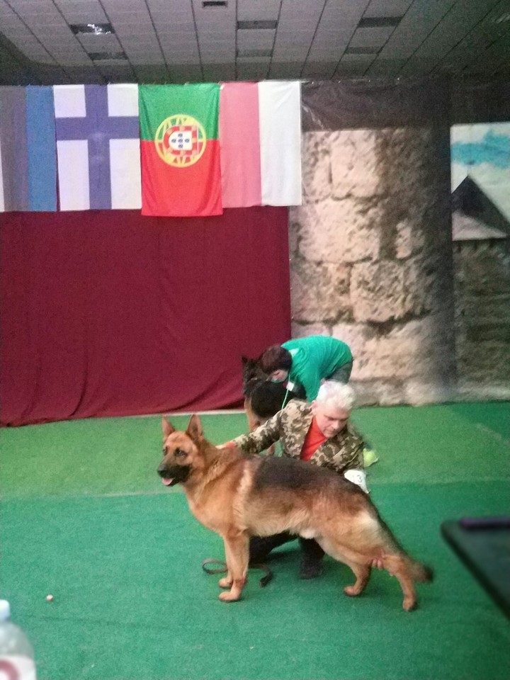 Радж