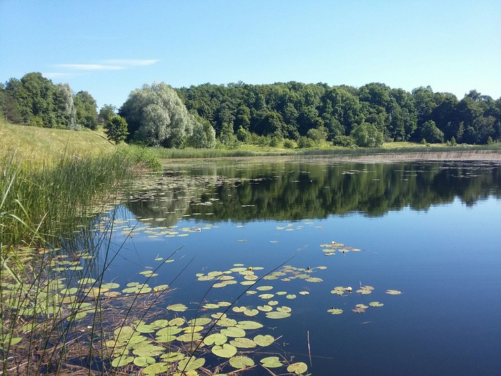 Latvian summer