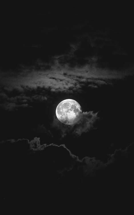 Good night ?? ???